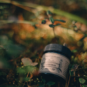 Symphytum officinale