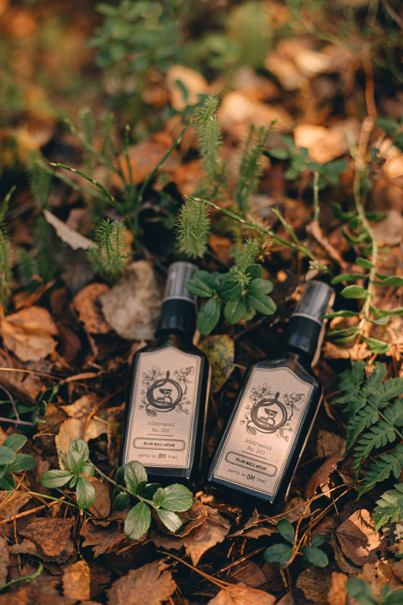 Flos mali aviae Flos mali aviae